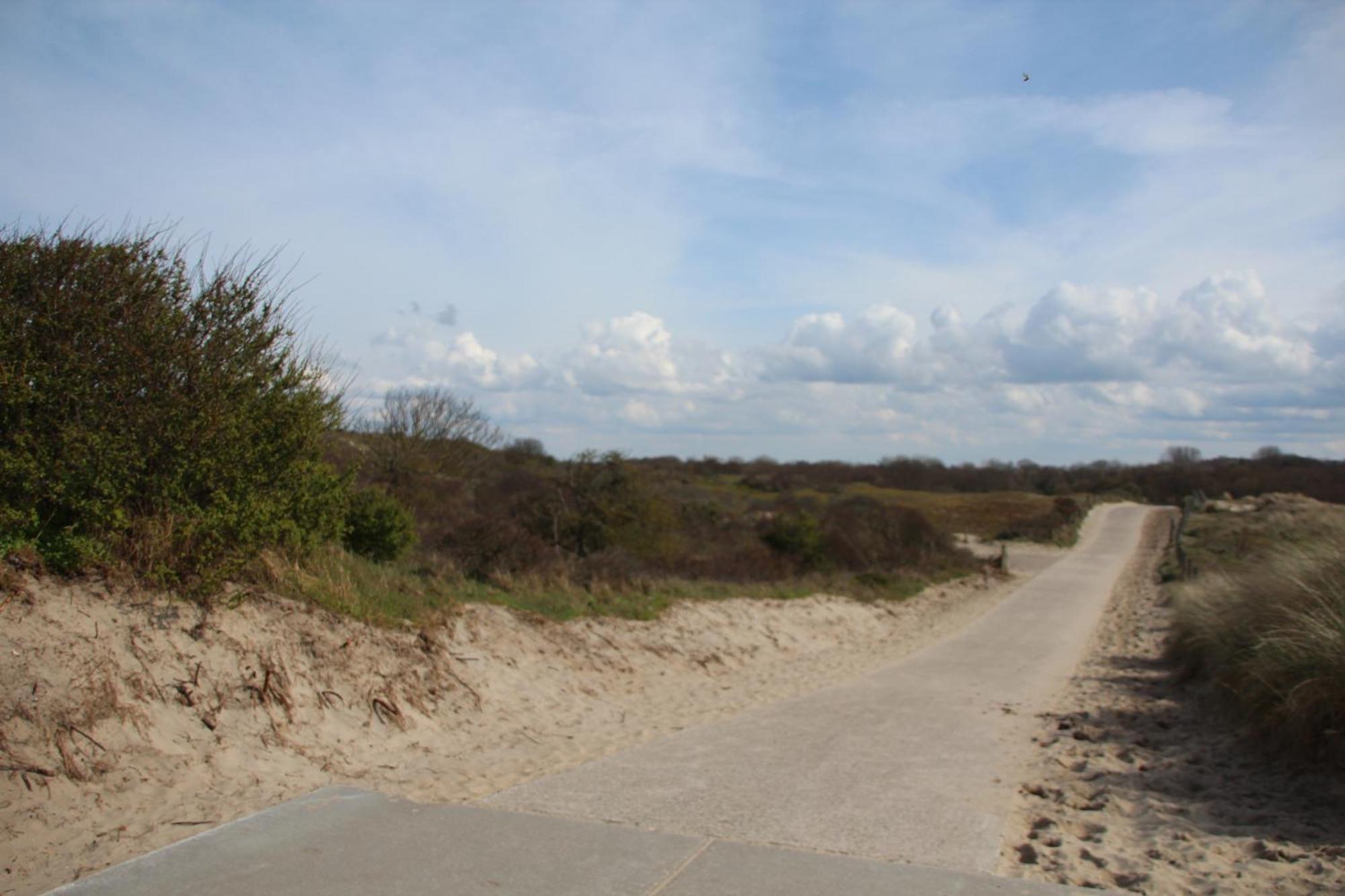 Bondi Beach Renesse Buitenkant foto